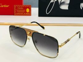 Picture of Cartier Sunglasses _SKUfw55117640fw